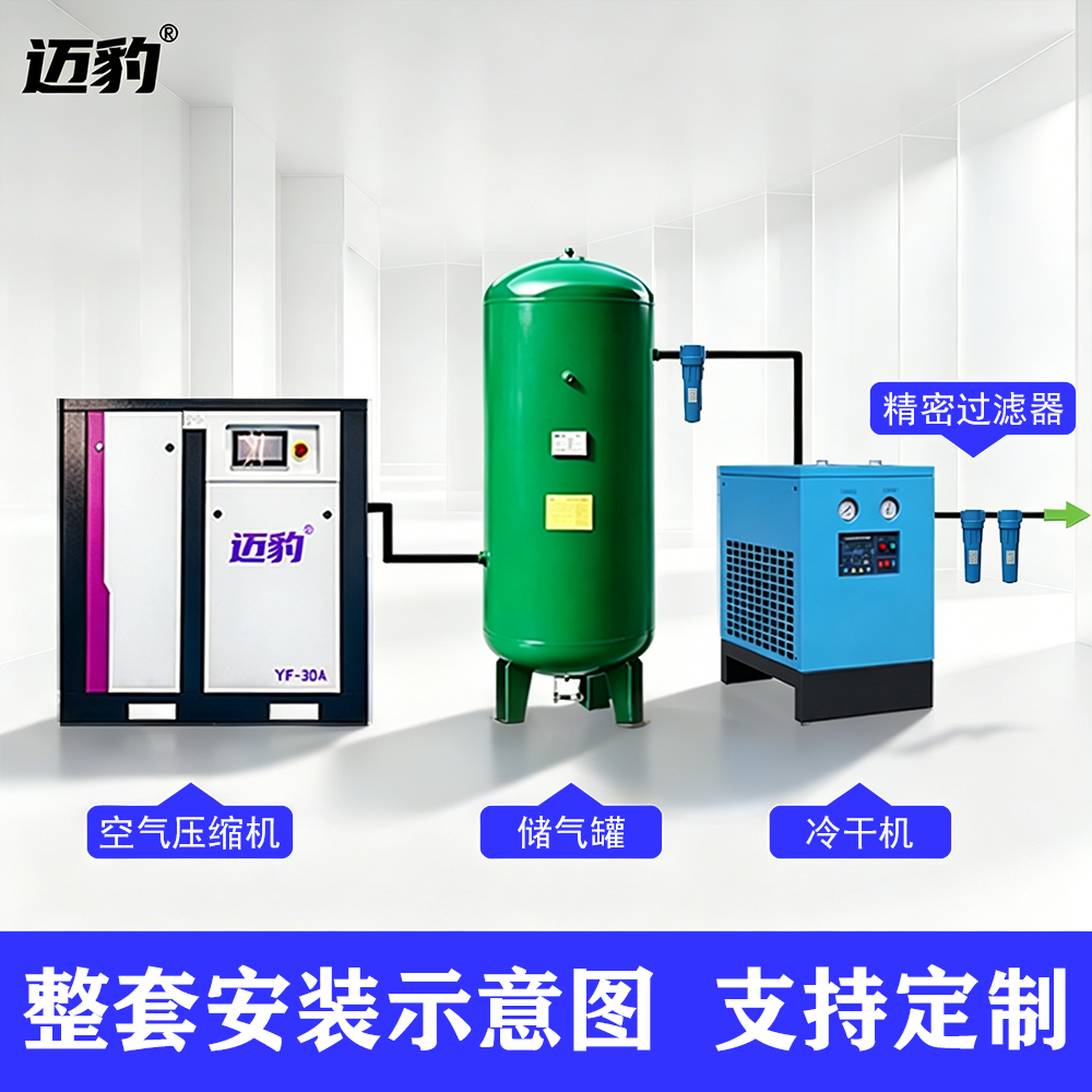 30P劲豹冷冻式干燥机JB-30